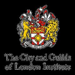 city and guilds smart cards|city and guilds logo requirements.